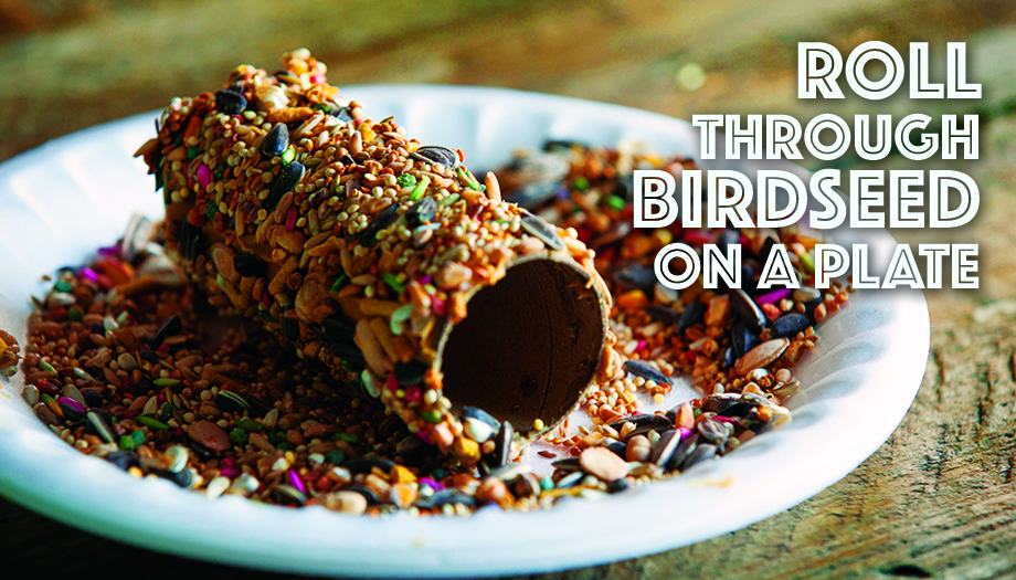 3_step2_birdfeeder.jpg Thumbnail