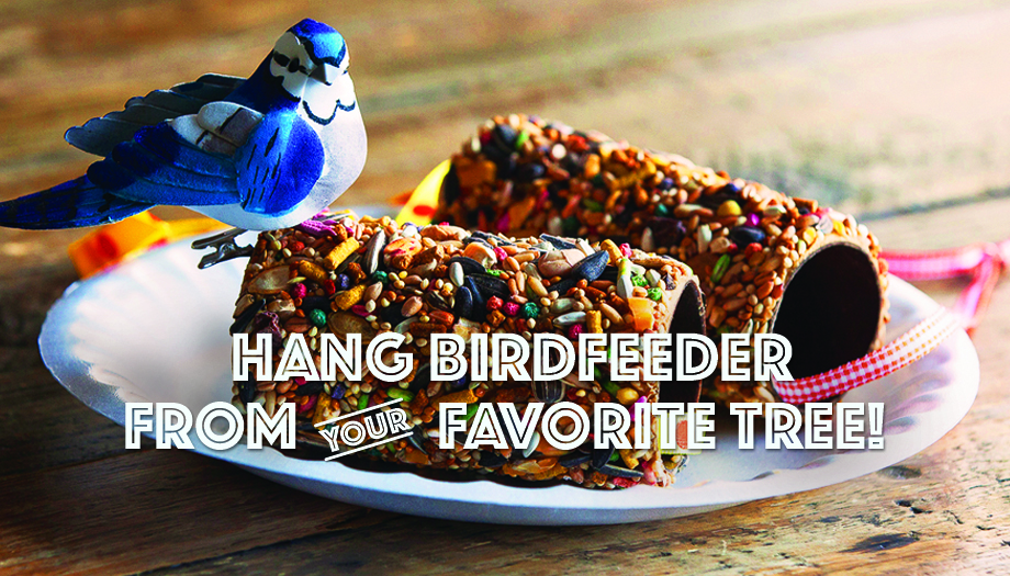5_final-shot_birdfeeder.jpg Thumbnail