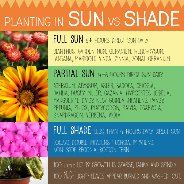 Learn How To Plant Flowers With Hefty S Garden Guide Thumbnail