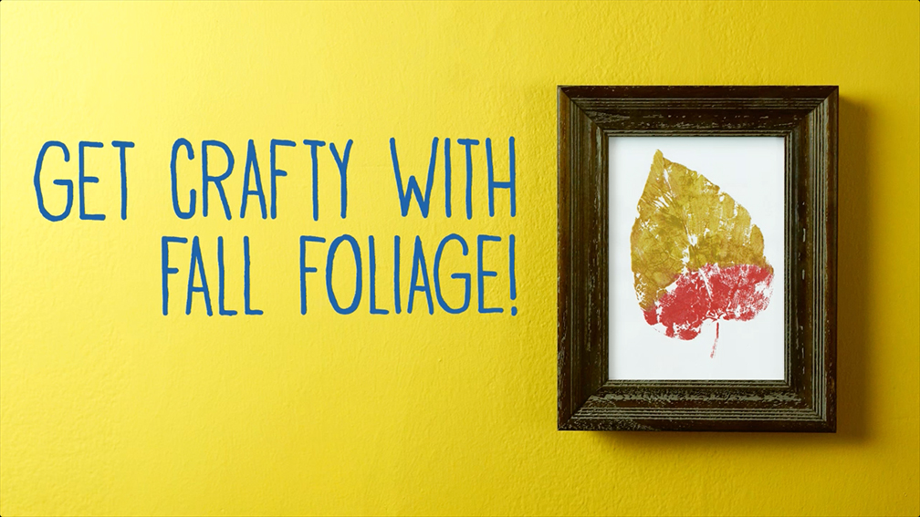 leafstills_1.jpg Thumbnail