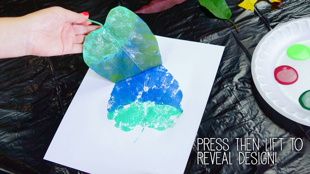 leafstills_5.jpg Thumbnail