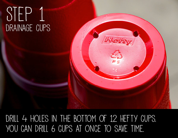 step1.jpg Thumbnail