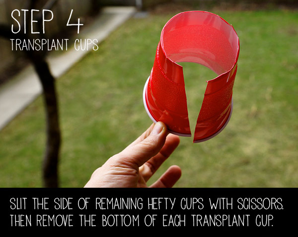 step4.jpg Thumbnail