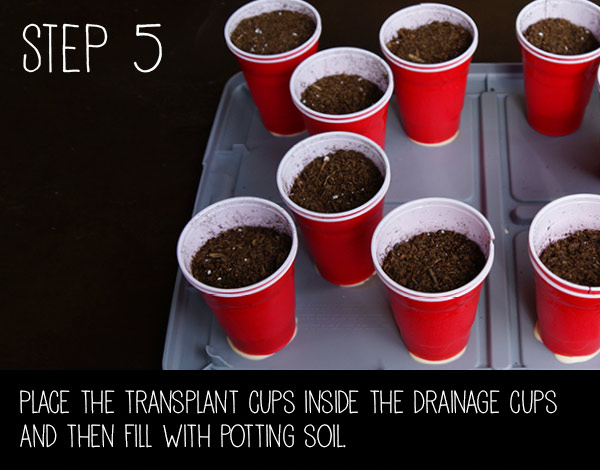 step5.jpg Thumbnail