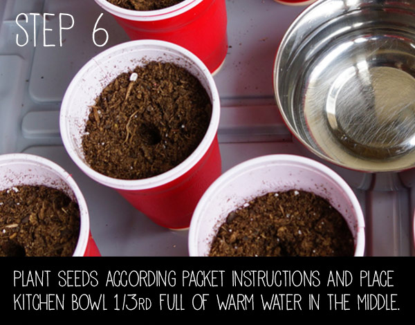 step6.jpg Thumbnail