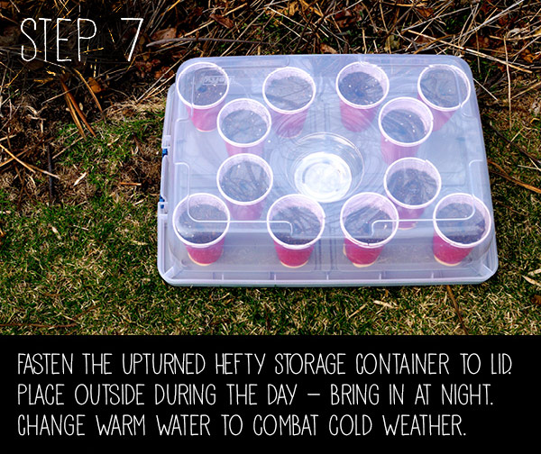 step7.jpg Thumbnail