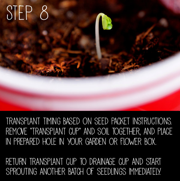 step8.jpg Thumbnail