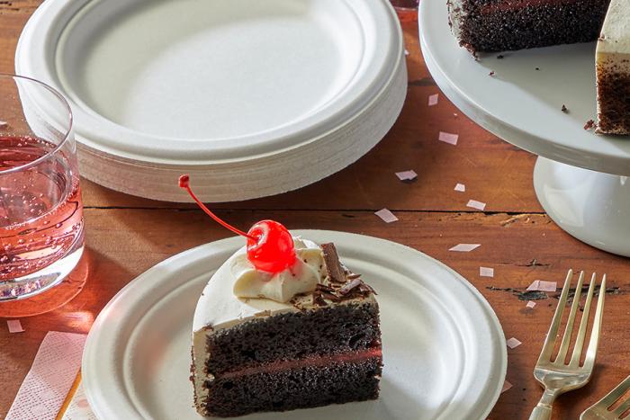 Chocolate Cake on an EcoSave plate with a stack of empty plates off to the side.
