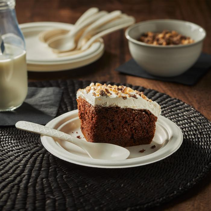Hefty ECOSAVE spoon alongside a slice of chocolate cake